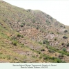 satyrium ledereri rustavi biotope1